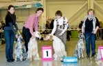 ВЫСТАВКИ - Мемориал Сабанеева 2012